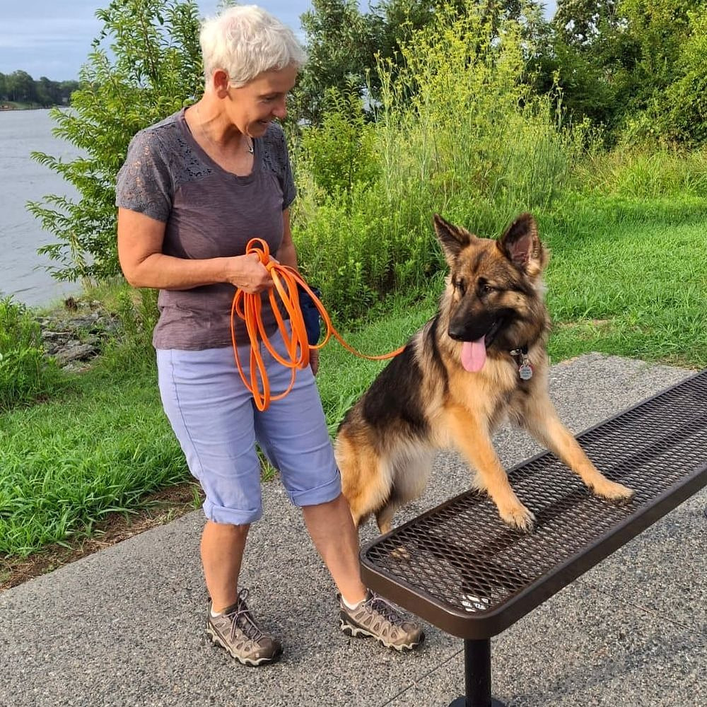 Eva Klenner practicing basic skills with a German Shepherd