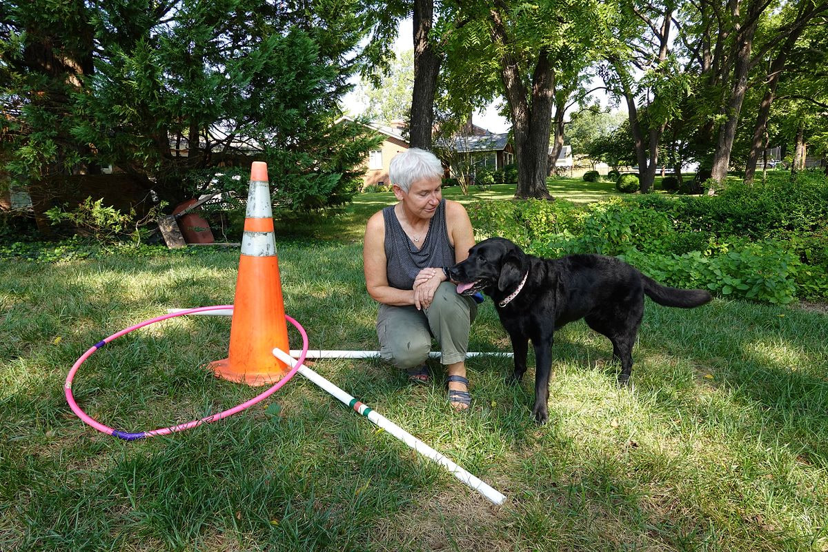 Eva Klenner building trust with a dog during an outdoor lesson
