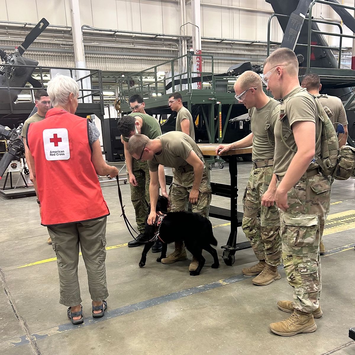Eva Klenner introducing a therapy dog to service members